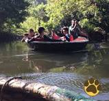 Packages in Thekkady
