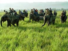 Packages in Thekkady
