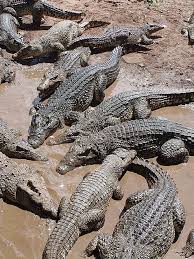 Odisha Tour Package 6 Night - 7 Days