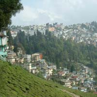 Packages in Darjeeling
