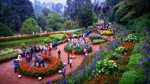 BANGALORE – MYSORE – OOTY TOUR PACKAGE