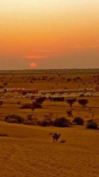Rajasthan Jaipur- Bikaner- Jaisalmer- Jodhpur Udaipur – M. Abu- Ajmer – Pushkar ( 12 Days)