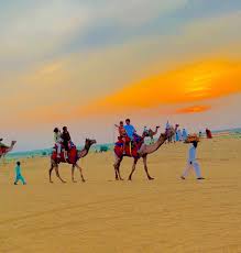 Rajasthan Jaipur- Bikaner- Jaisalmer- Jodhpur Udaipur – M. Abu- Ajmer – Pushkar ( 12 Days)