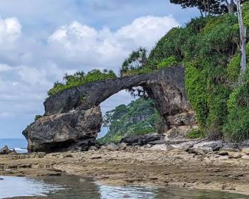 ANDAMAN TOUR 05N  /06 DAYS
