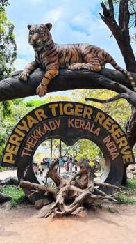 Kerala Cochin- Munnar- Thekkady-a Llepy- Trivandrum Tour