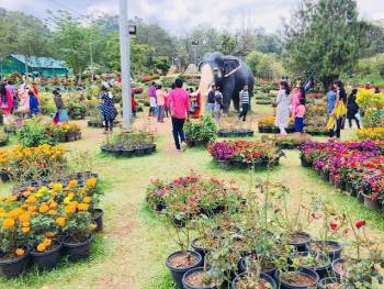 Kerala Cochin- Munnar- Thekkady-a Llepy- Trivandrum Tour