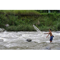 Darjeeling - Pelling - Gangtok - Kalimpong  Tour