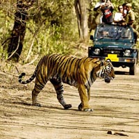 8 Days Golden Triangle tour with Ranthambore Tiger Safari