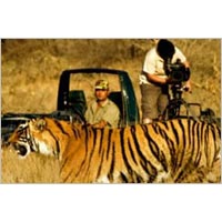 6 Days Wildlife Tiger Tour