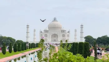 Classic Taj Mahal Tour