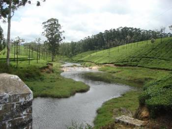 Nelliyampathy, Pollachi, Top Slip, Valparai Tour