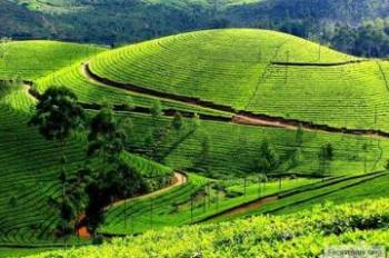 Students Coorg, Mysore and Ooty 7 Days Tour