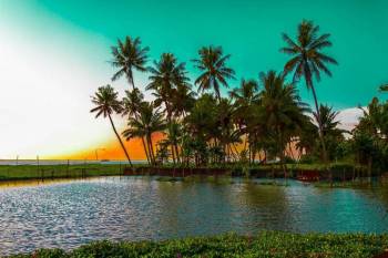 Students Kerala Tour 6 Days