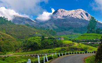 4 Nights - 5 Days Munnar Tour