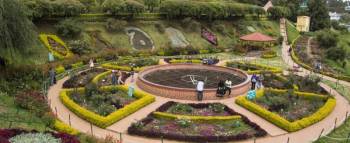 Ooty Tour 5 Days