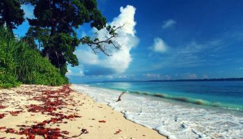 Andaman Tour from Chennai Travel Ahead Holidays
