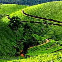 Ex Bangalore Package - 7Nts/8Days