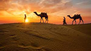 Rajasthan Tour