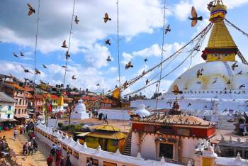 Chitwan - Kathmandu - Pokhara - Lumbini Tour