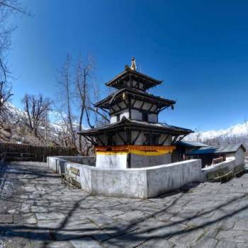 Chitwan Tour Packages
