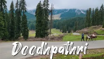 Kashmir Vaishno Devi with Dudhpathri (Tulip Special)