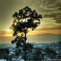 Guwahati - Kaziranga - Shillong - Cherrapunji Tour