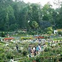 Mysore Ooty Kodaikanal Tour