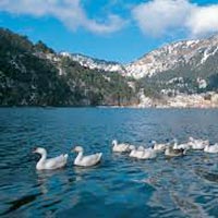 Uttarakhand 5 Days Tour