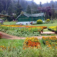 Ooty Botanical garden