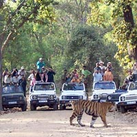 Kerala Wild Tour
