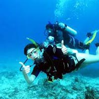 Packages in Malvan