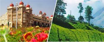 Mysore -  Ooty Tour Package