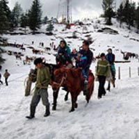 Shimla - Manali - Dharamsala - Dalhousie Tour