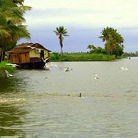 Kerala Package (Cochin to Trivandrum)