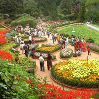 Honeymoon In Ooty Package