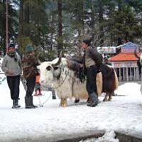 Dharamshala, Dalhousie, Khajjiar, Chamba & McLeodganj Tour