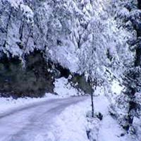 luxurious Himachal With Manali Tour