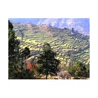 Kumaon Magic Tour