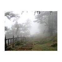 Dhanaulti