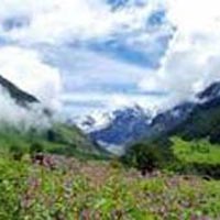 Valley Of Flower Trek Tour