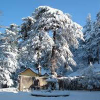 Best Shimla Tour Package