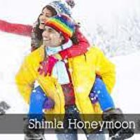 Honeymoon Shimla Tour Package