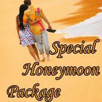 Honeymoon Dharamsala Shimla tour Package