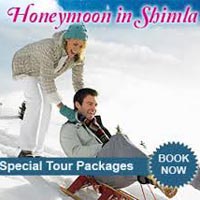 Honeymoon Tour Package