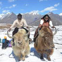 Delhi Manali Tour Package