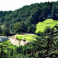 Delhi - Shimla Tour Package