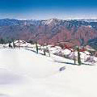 Pathankot to Shimla Tour