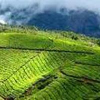 Kerala Tour:- Vagamon - Thekkady - Kumarakom - Alleppey Tour