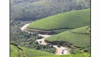 Kerala : Cochin - Thekkady - Gavi Tour