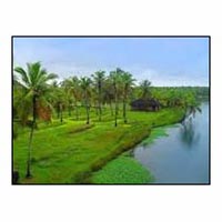 Kerala Nature Tours 